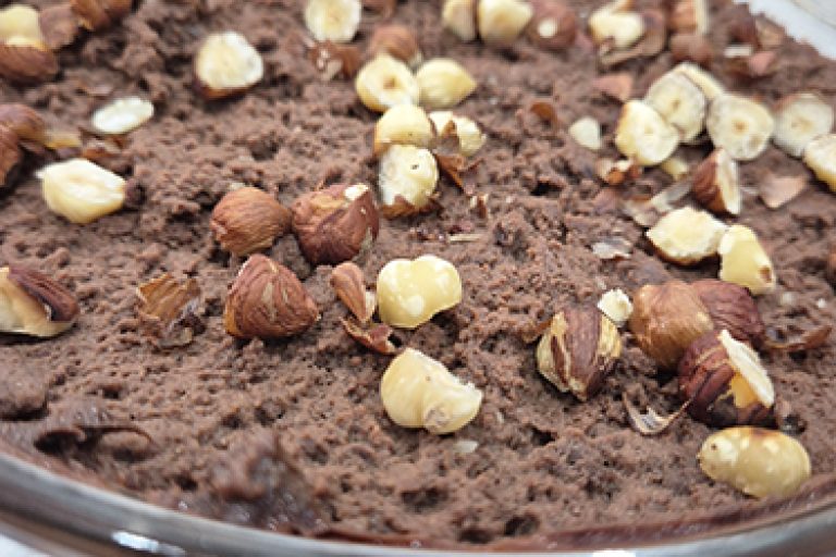 mousse de gianduia